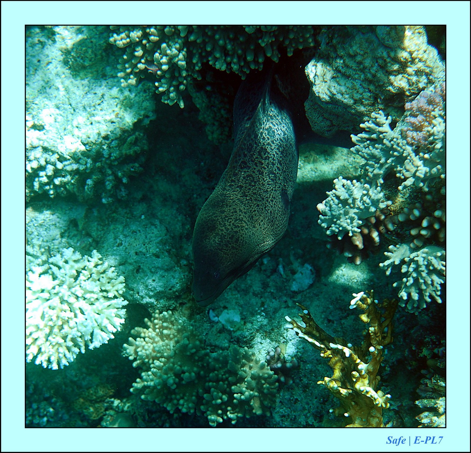 Hurghada - Aout 2021 - 021